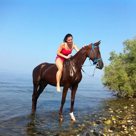 Vergonis Lägenhet *