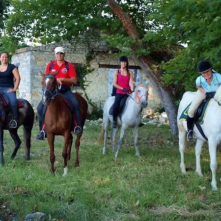 Vergonis Lägenhet *