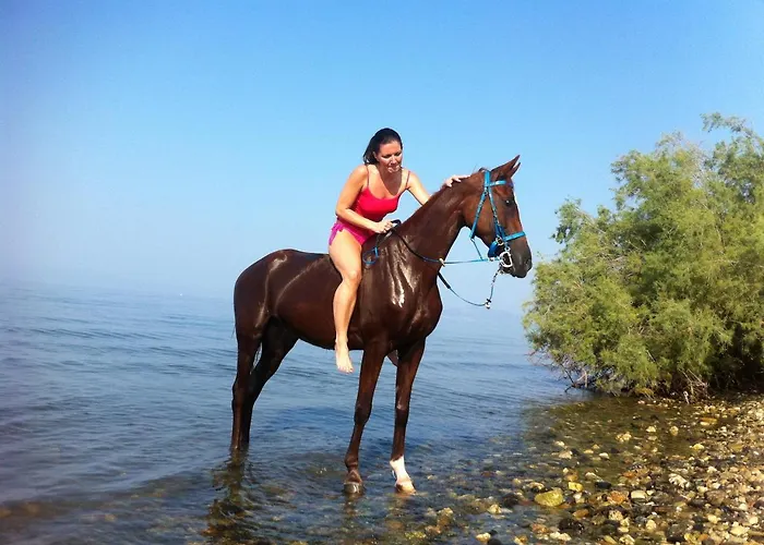 Vergonis Apartament *