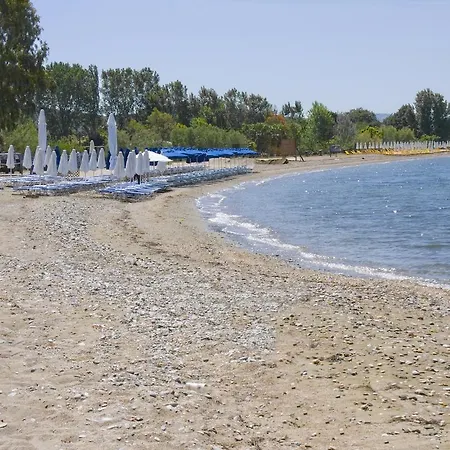 Vergonis Koropi
