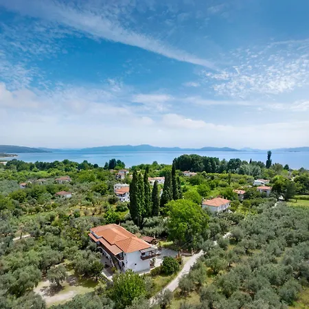 Vergonis Koropi