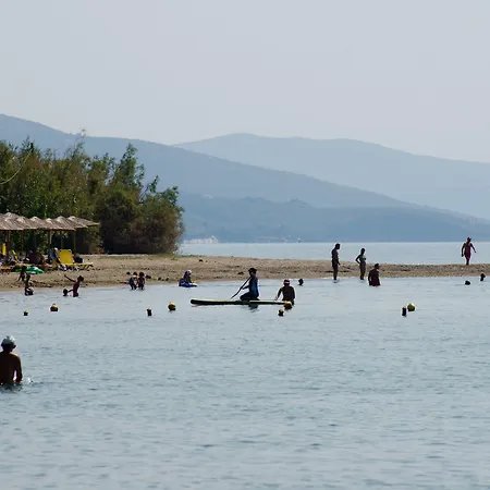 Vergonis * Koropi