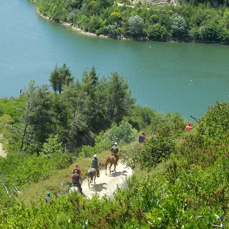 Vergonis * Koropi