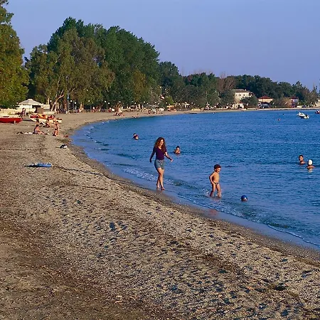 Vergonis * Koropi